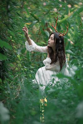 麻花影视MV免费观看完整版